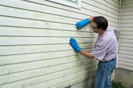 Best Vinyl Siding Installation  in Mount Airy, GA